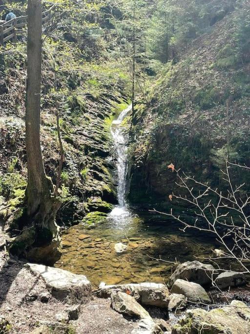 Little Roua Ardenne 4 Pers Hébergement de vacances